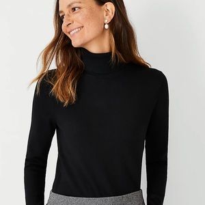 LOFT Turtleneck Sweater
